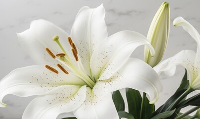  a close up of a white flower with green leaves in a vase.  generative ai
