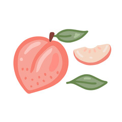 Pink peach. Hand drawn style set of illustration of peaches.