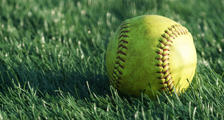 Game used softball sitting in the grass with golden hour light