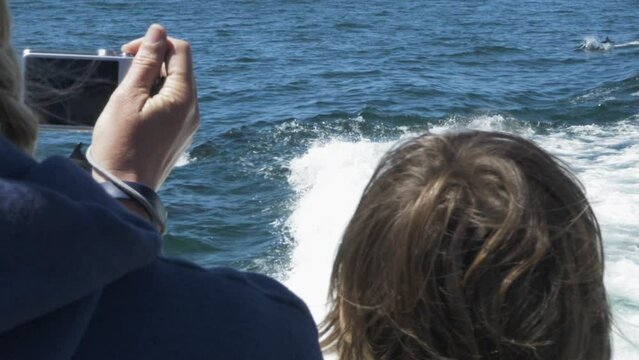 Slow motion - Anonymous Tourist taking photos of dolphins swimming behind boat