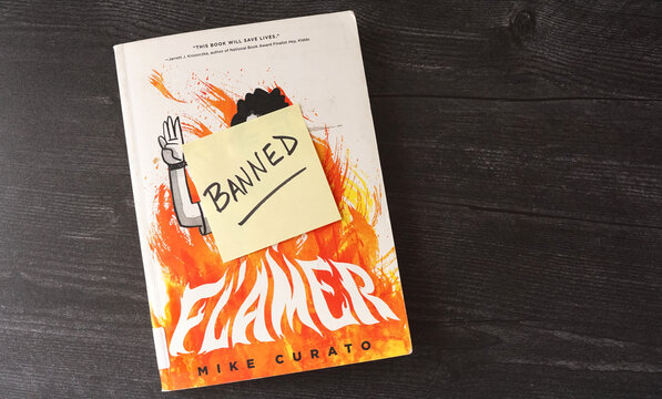 A copy of the graphic novel Flamer by Mike Curato, with a note saying "banned". The book has landed on many school and library banned book lists.