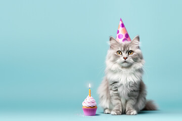 Cat celebrating with party hat and birthday cupcake - obrazy, fototapety, plakaty