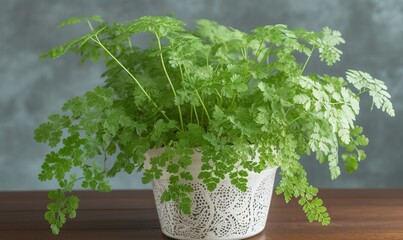  a green plant in a white pot on a wooden table.  generative ai