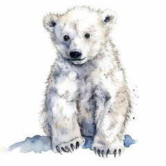 Baby Polar bear watercolor with ink outline on white background, high detailed (generative AI)