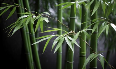  a close up of a bamboo plant with leaves on it.  generative ai