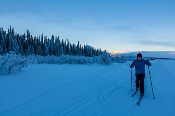 Fototapeta na wymiar One person skiing along the frozen Yukon River in winter season with stunning blue hour scenery at sunset in the background and frosty landscape. 