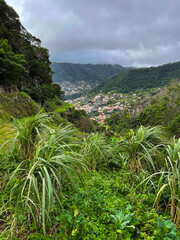Fototapeta na wymiar Small town in the in tropical vegetation