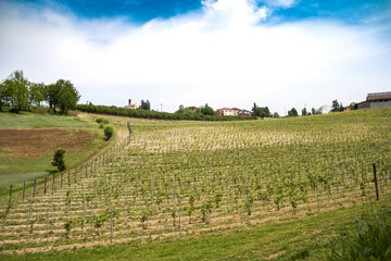beautiful spring landscapes in Costigliole d\'Asti, in the Piedmontese langhe of the Asti area, in the spring of 2023
