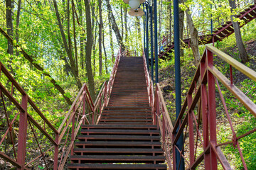 Fototapeta premium Stairs in a park with tall trees
