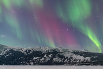 Northern Lights seen over Carcross landscape in arctic, northern Canada during winter season with bright green, pink and purple aurora borealis bands filling the sky. Snow capped mountains in view. 