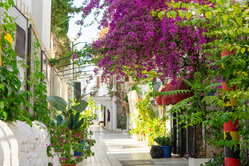 Fototapeta na wymiar Narrow street in old european town in summer sunny day. Beautiful scenic old ancient white houses, cafe and shops with pink flowers. Popular tourist vacation destination, mediterranean architecture