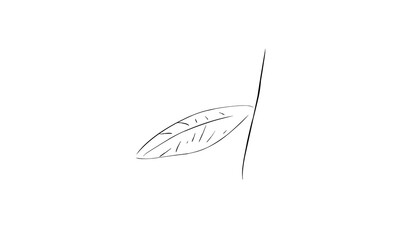 Simple leaf design 