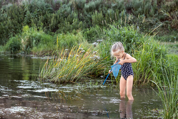 Little girl with an insect net catches catching a frog