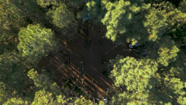 Aerial cinematic stabilized shot of Brazilian temperate forest and mountains at sunset