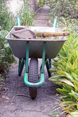 one gray metal garden wheelbarrow with a black wheel stands on the pavement among green vegetation in the summer garden