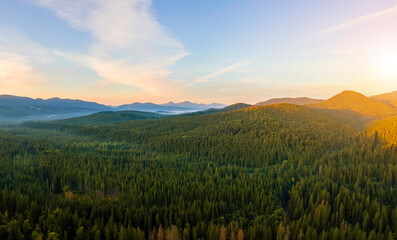 Fototapeta na wymiar Aerial view of amazing scenery with dark mountain hills covered with forest pine trees at autumn sunrise. Beautiful wild woodland at dawn