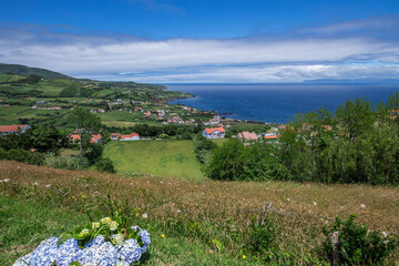 Coast of Faial Island / Coastal landscape from Faial island, Azores, Portugal. - 601195604