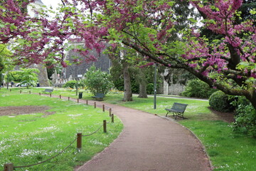 Le jardin Augustin Thierry, parc public, ville de Blois, département du Loir et Cher, France