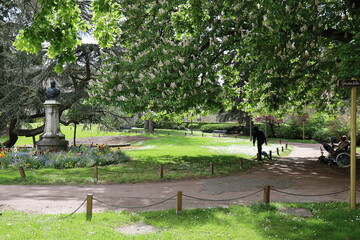 Le jardin Augustin Thierry, parc public, ville de Blois, département du Loir et Cher, France