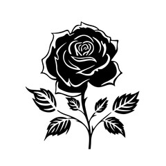 Fototapeta premium Black and White Rose Vector Illustration