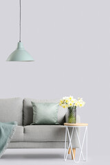 Cozy sofa and coffee table with narcissus flowers in vase on grey background