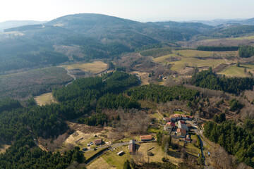 Naklejka premium Aerial view of pine forest with large area of cut down trees as result of global deforestation industry. Harmful human influence on world ecology