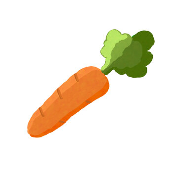 carrot on a white 