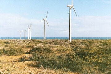 Wind Farm in Colombian Desert