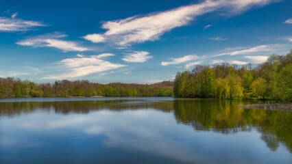 view of the lake and forest - obrazy, fototapety, plakaty