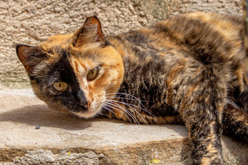 Majorque, Maiorca, Espagne, Bal&eacute;ares, mer, &icirc;le, vacances, tourisme, M&eacute;diterran&eacute;e, &eacute;t&eacute;, voyage