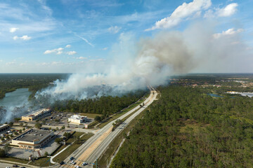 Wildfire burning severely during dry winter season in North Port city, Florida. Thick smoke rising...