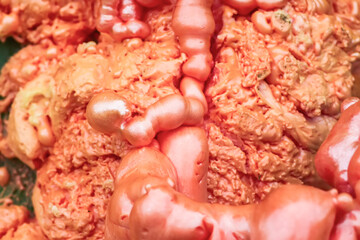 Spraying foam texture. Polyurethane foam close up.