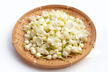 Thai jasmine flower on white background.