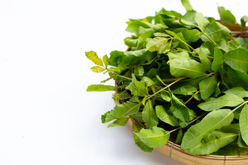 Brazilian peppertree leaves on white background.