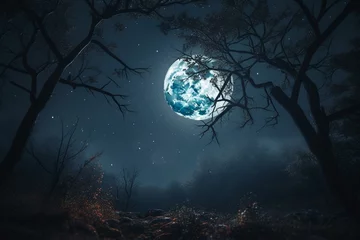 Printed kitchen splashbacks Full moon and trees A nocturnal atmosphere with a glowing full moon and twinkling stars gives rise to a magical world. Generative AI