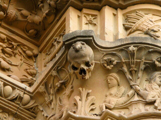 la rana de salamanca fachada universidad 2008