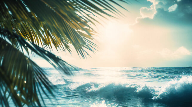 An image of water sun clouds palm fronds