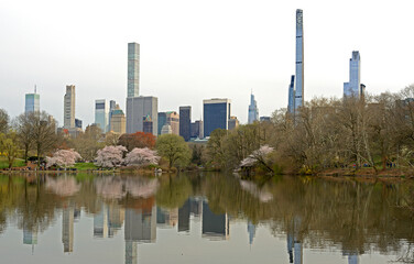 Landscape with Turtle Pond in Central Park and tallest skyscrapers in Manhattan in spring. New York...