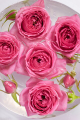 Pink roses float in a glass vase filled with water. Selective focus. Vertical banner