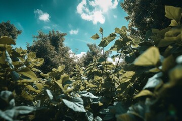 A summery vibe of blue skies and green foliage. Generative AI