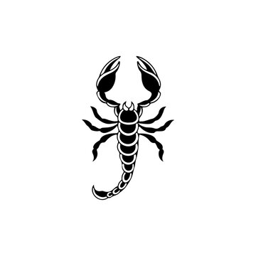 black scorpion vector illustration concept