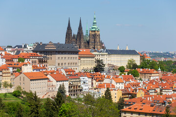 Obraz premium Spring Prague City with gothic Castle and the colorful Nature with flowering Meadows from the Hill Petrin, Czech Republic