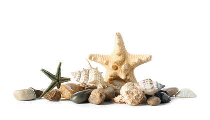 Seashells with starfishes and stones on white background
