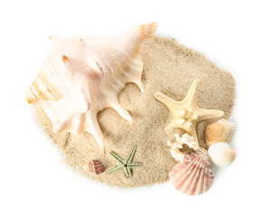 Sand with seashells and starfishes on white background