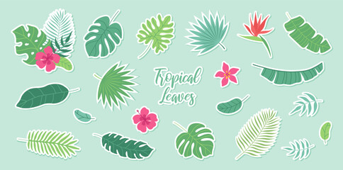 Set of stickers tropical leaves and exotic flowers. Palm, banana leaf, hibiscus, plumeria flowers, bird of paradise. Bouquets with tropical flowers. Vector flat cartoon illustration.