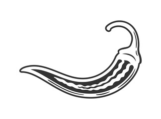Naklejka premium Chili pepper icon isolated on white background. Vector illustration