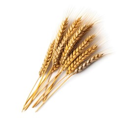 Wheat ears on a white background. Created using generative AI tools.