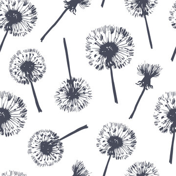 Dandelion seamless vector pattern, drawing of Taraxacum erythrospermum, floral theme, ink vintage graphics, two colors - light and dark. Print-ready for fabric, wrapping, etc..