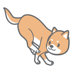 着地する柴犬のベクターイラスト