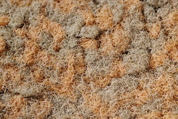 Macro shot of dust and dirt of carpet surface